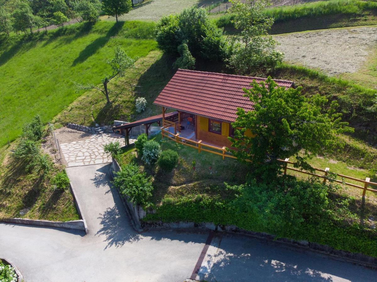 Вилла Bomas House Церкно Экстерьер фото